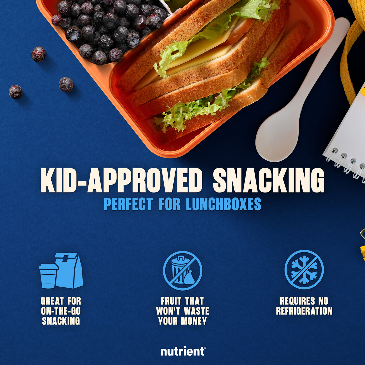 Blueberry Fruit Crisps 6-Pack