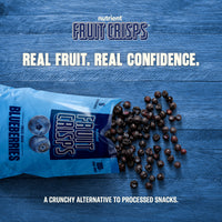 Blueberry Fruit Crisps 6-Pack