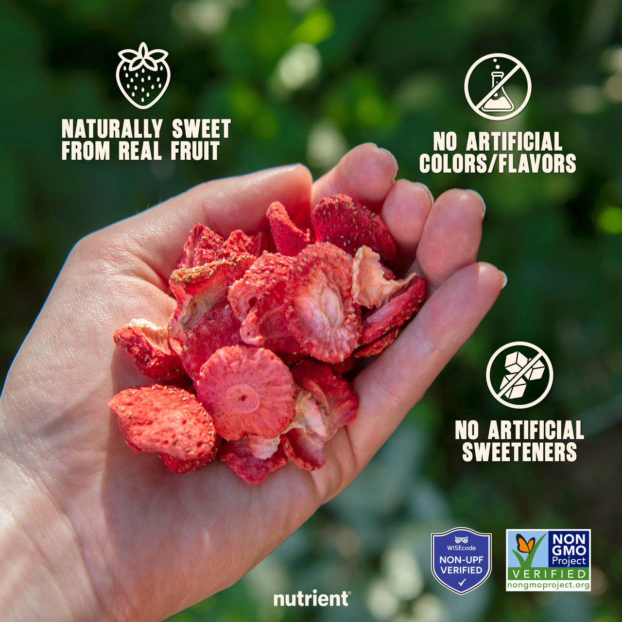 Strawberry Fruit Crisps 6-Pack