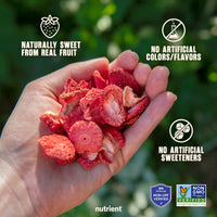 Strawberry Fruit Crisps 6-Pack